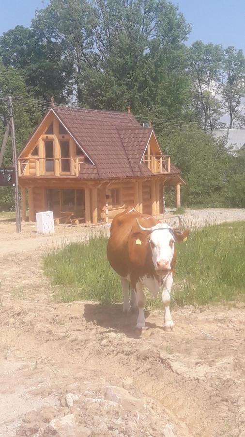 Nad Termami Villa Dzianisz Ngoại thất bức ảnh